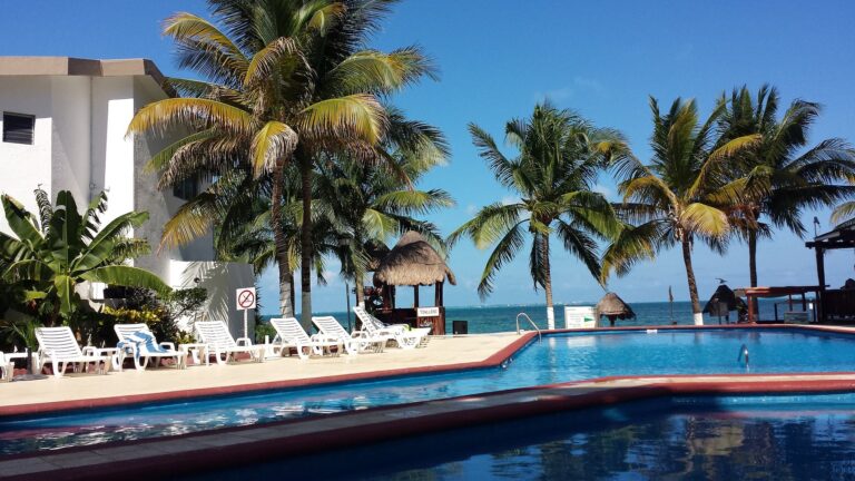 Ocean View 8